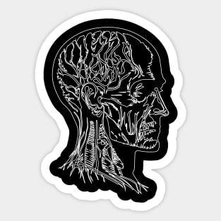 Anatomical human head Sticker